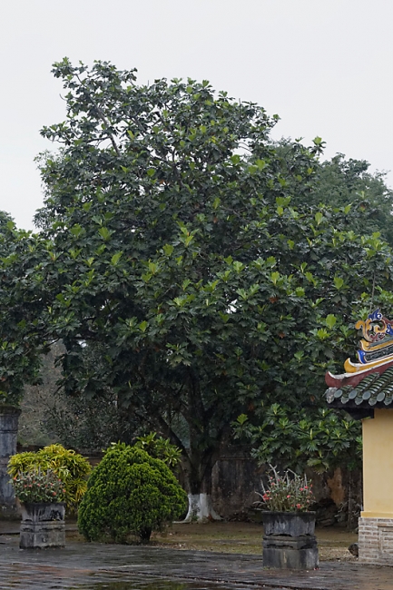 Hué-Tombeau de Minh Mang-051